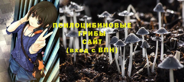 героин Абаза