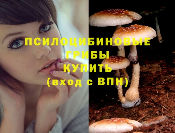 гашишное масло Приозерск