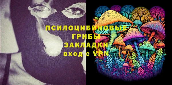 бошки Абинск